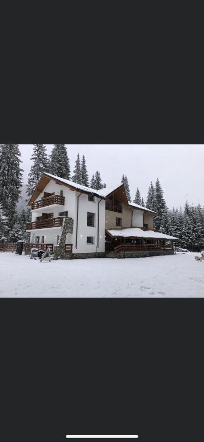 Sidharta Resort Obarsia-Lotrului Exterior photo