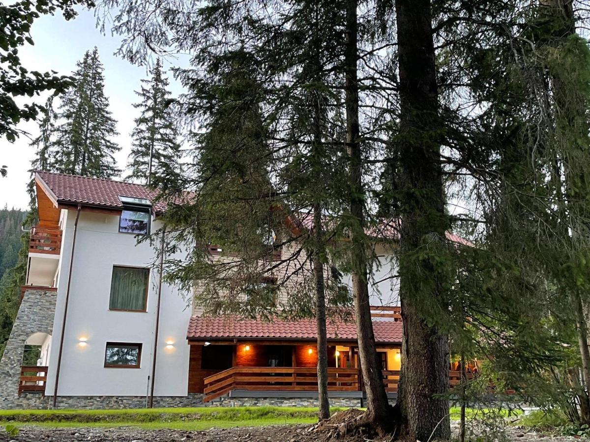 Sidharta Resort Obarsia-Lotrului Exterior photo